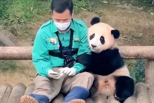 福宝爷俩,传承与创新的故事