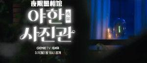 夜限照相馆,光影交织的梦幻世界