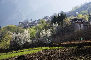 梦洒满乡,探寻乡村发展的诗意画卷