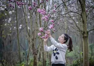 她比春风暖,温暖如她